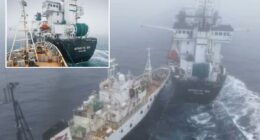 Activistâs group Paul Watson accused of âterrorist attackâ in collision with Antarctic krill trawler